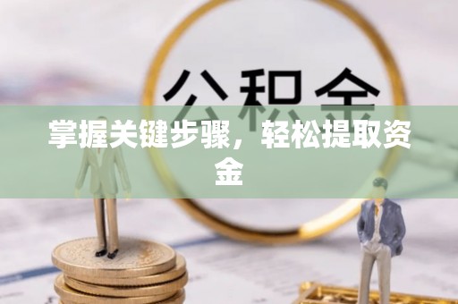贡山掌握关键步骤，轻松提取资金