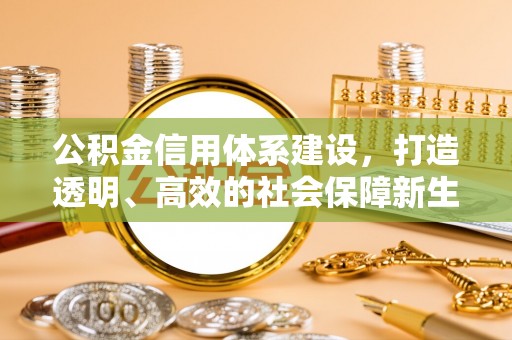 贡山公积金信用体系建设，打造透明、高效的社会保障新生态