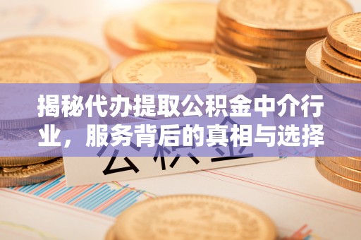 贡山揭秘代办提取公积金中介行业，服务背后的真相与选择指南