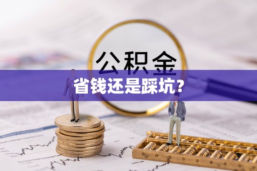 贡山省钱还是踩坑？
