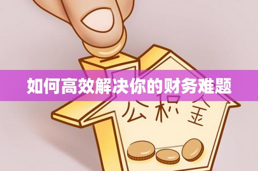 贡山如何高效解决你的财务难题