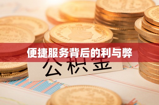 贡山便捷服务背后的利与弊